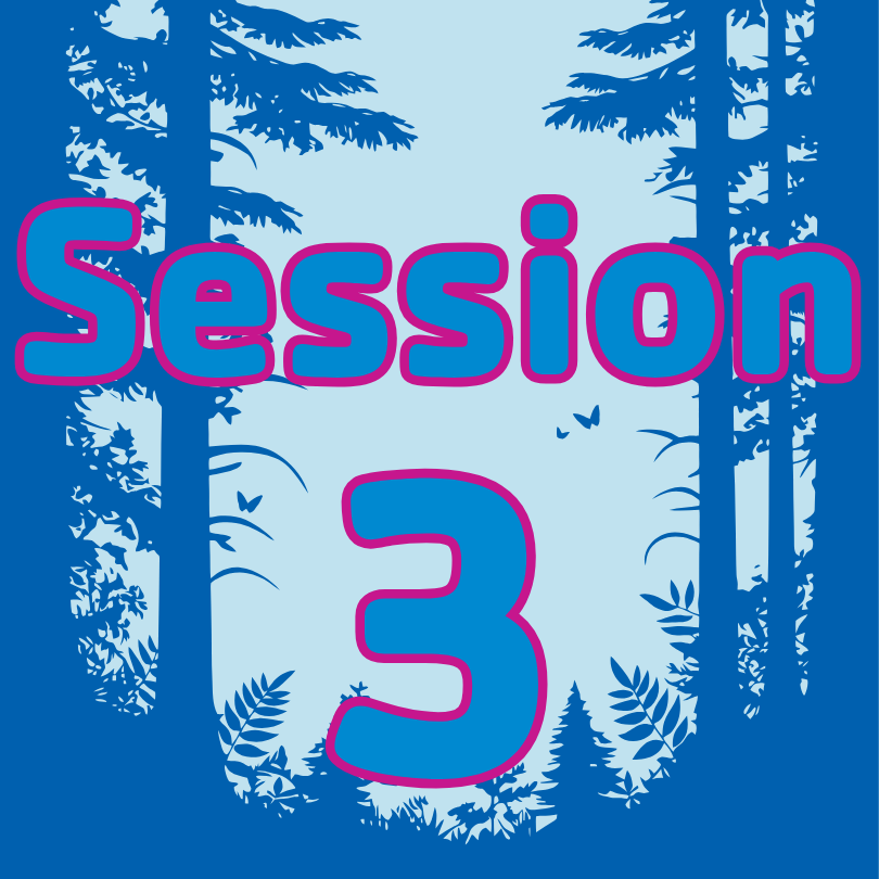 Session 3