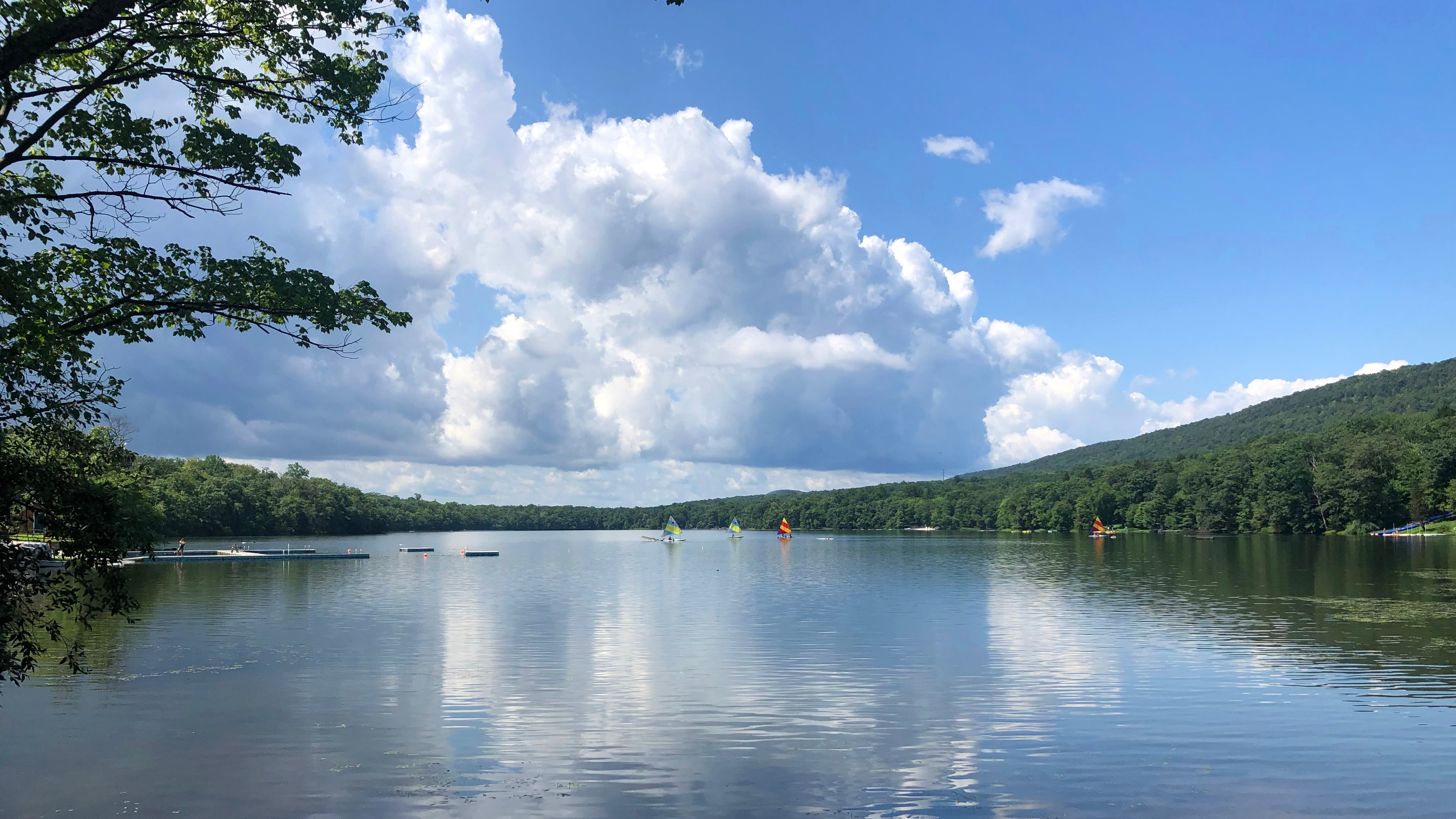 Fairview Lake YMCA Camps logo
